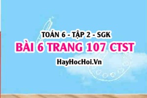 Giải bài 6 trang 107 Toán 6 Tập 2 Chân trời sáng tạo
